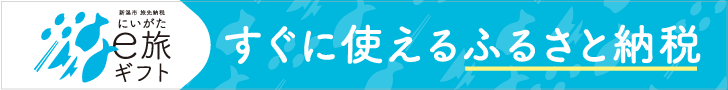 新潟市旅先納税バナーA(728×90ピクセル)